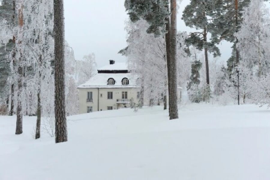 Naturnära julbord på Bommersvik