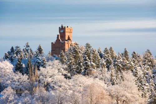 Cedergrenska Tornets Julbord