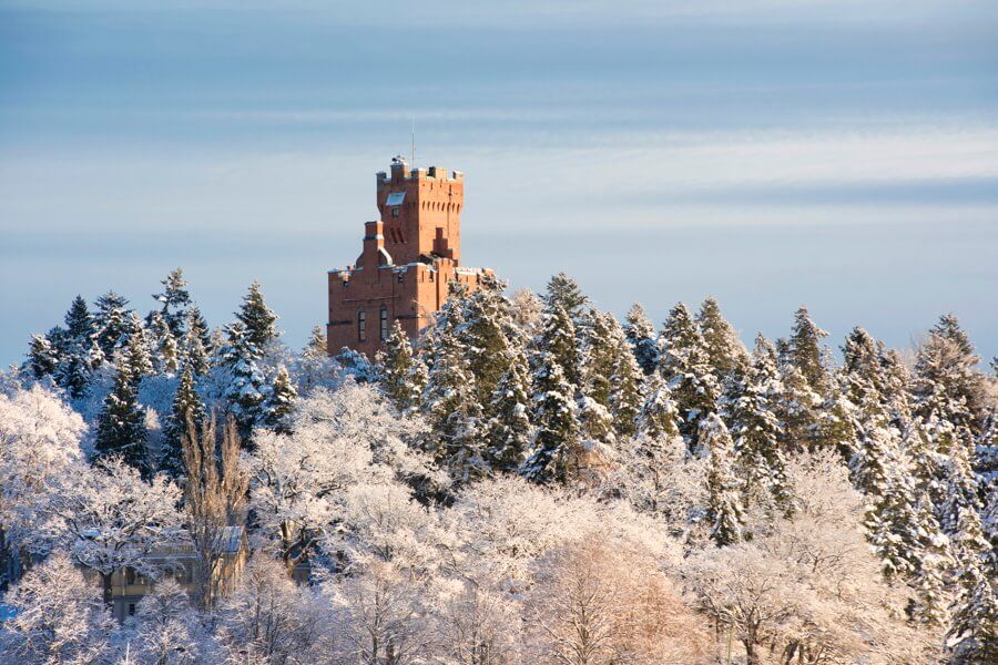 Cedergrenska Tornets Julbord