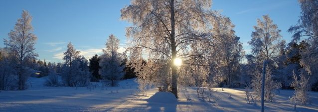 Vinter och julbord i Skåne