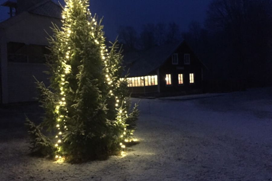 Medevi Brunns Julbord