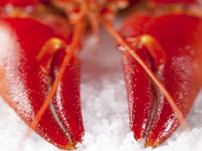 julbord med skaldjur