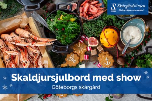 Vinterkryss med Skärgårdslinjen – M/S Trubaduren